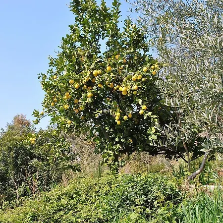 San Donato